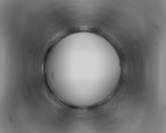 X0000112160262200908070944