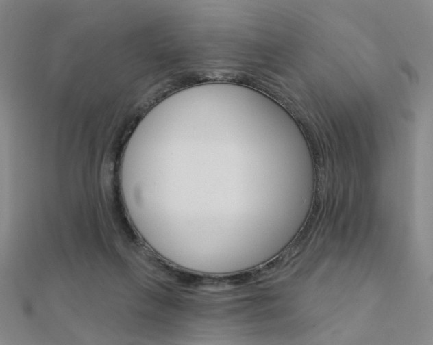 X0000112160263200908070944