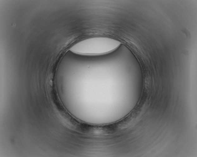 X0000112160264200908070944