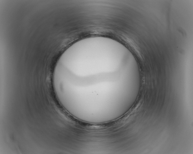 X0000112160265200908070944