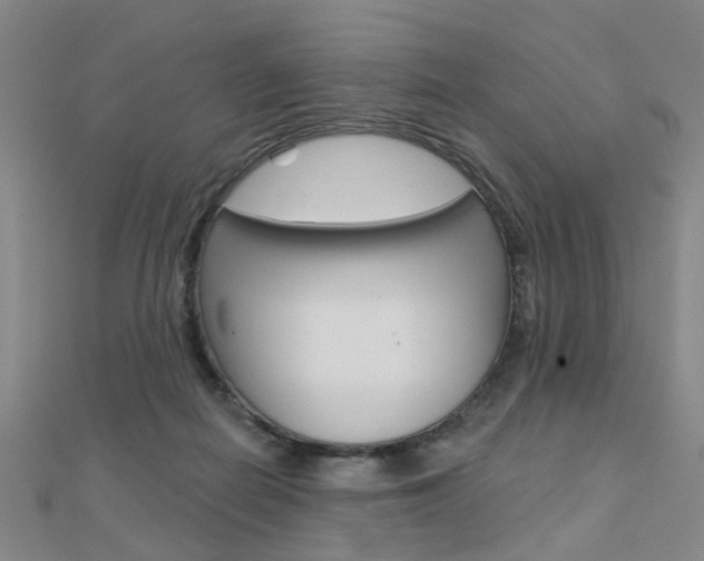 X0000112160266200908070944