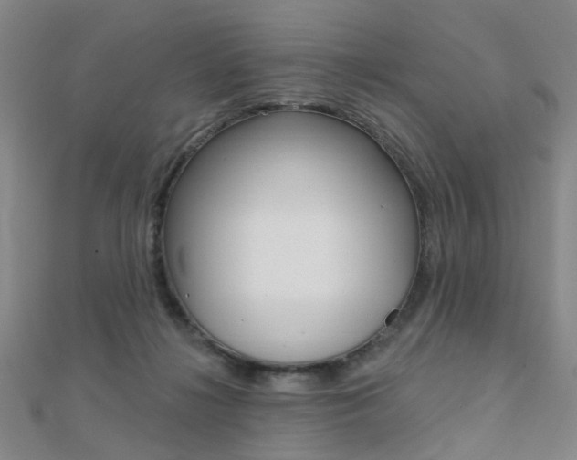 X0000112160268200908070944
