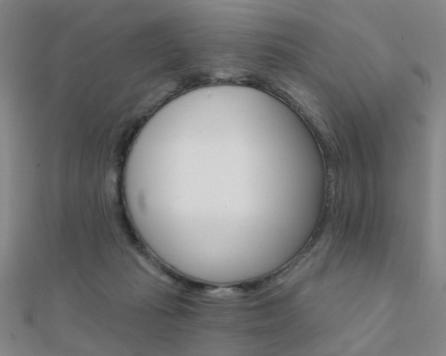 X0000112160269200908070944