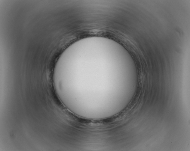 X0000112160270200908070944