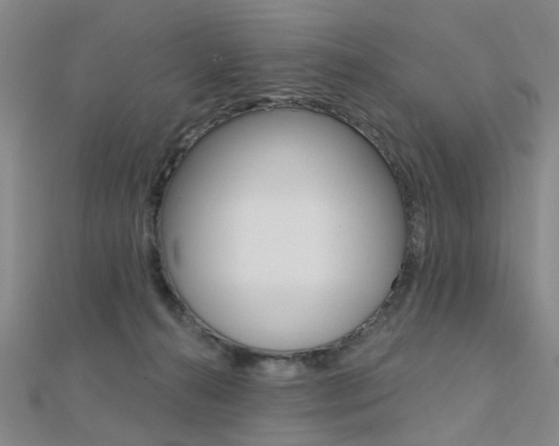 X0000112160272200908070944
