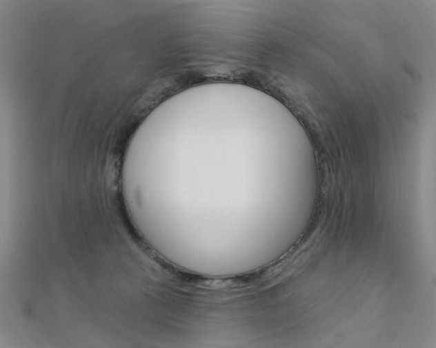 X0000112160273200908070944