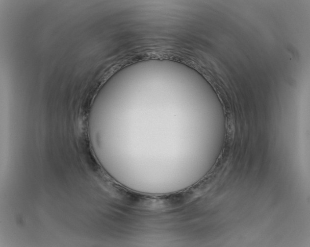 X0000112160276200908070945