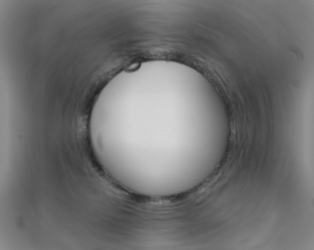 X0000112160278200908070945