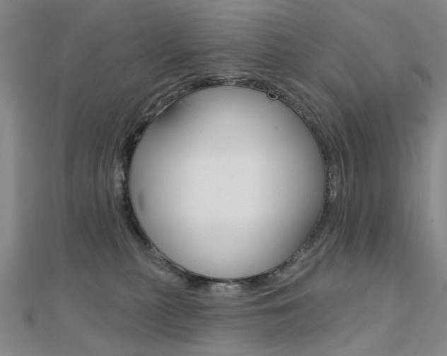 X0000112160279200908070945