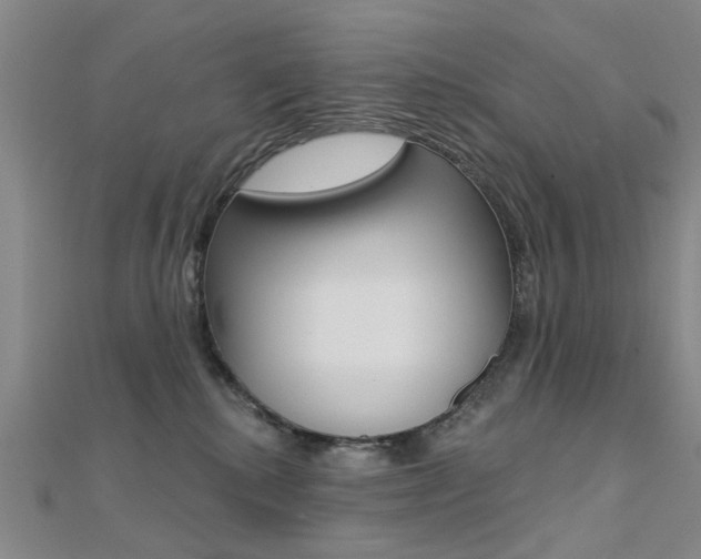X0000112160280200908070945