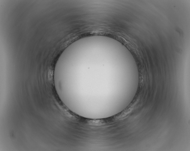 X0000112160281200908070945