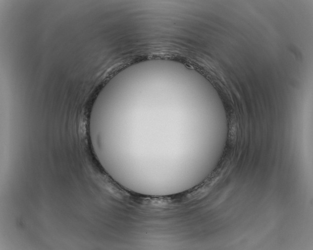X0000112160282200908070945