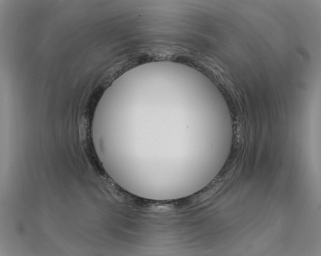 X0000112160283200908070945