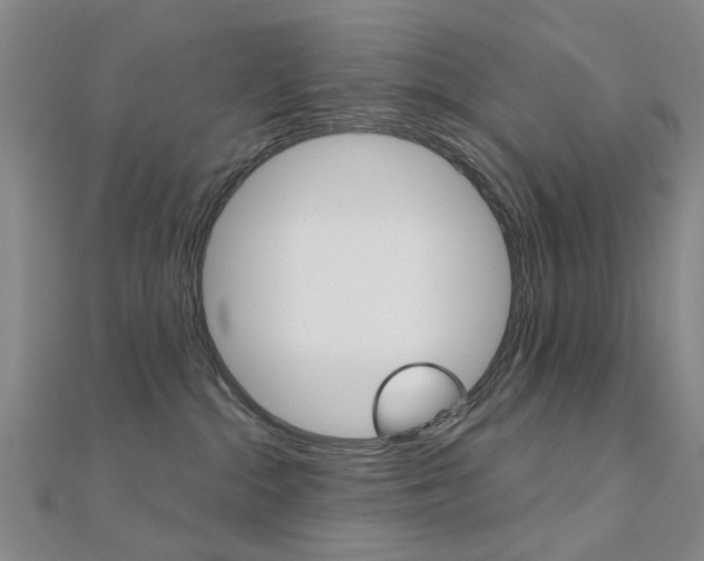 X0000112160284200908070945