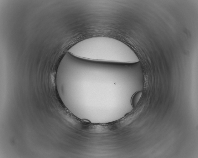 X0000112160286200908070945