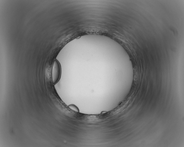X0000112160287200908070945