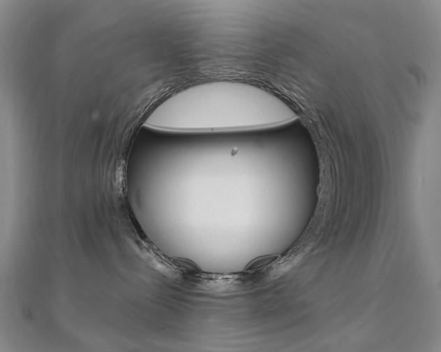 X0000112160288200908070945