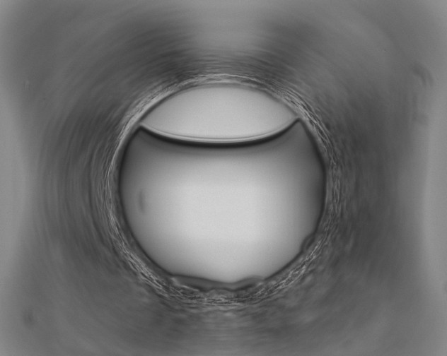 X0000112160289200908070944