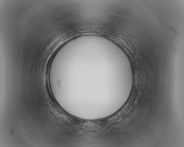 X0000112160290200908070944