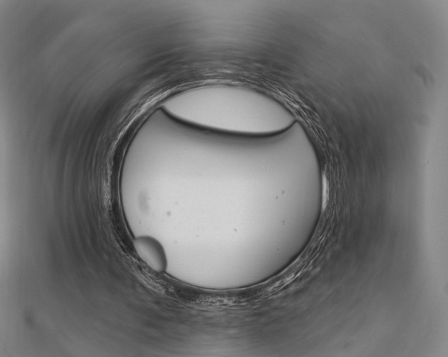 X0000112160291200908070944