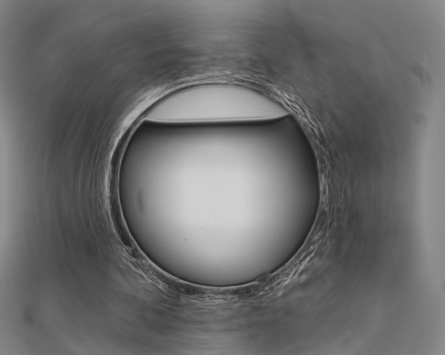 X0000112160292200908070944