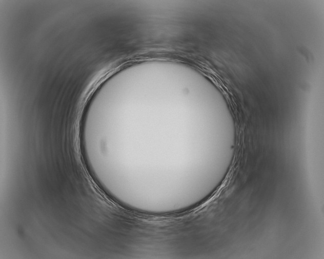 X0000112160293200908070944