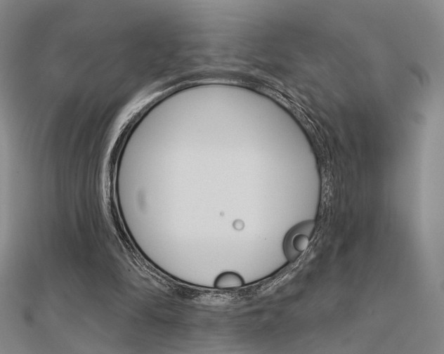 X0000112160294200908070944