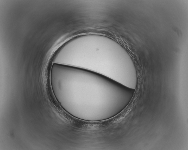 X0000112160295200908070944