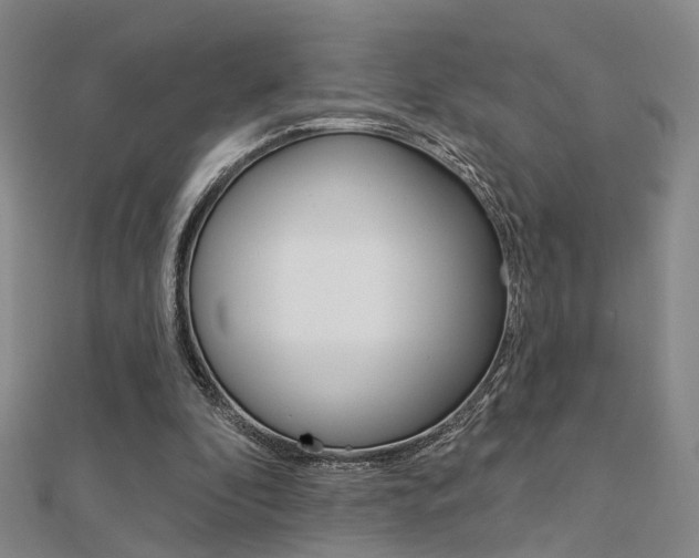 X0000112160296200908070944