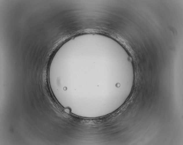 X0000112160297200908070944