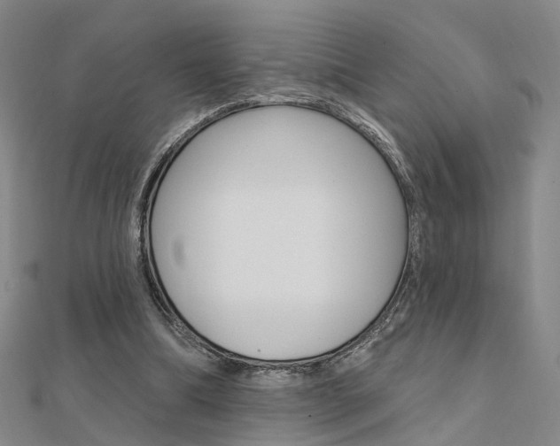 X0000112160298200908070944
