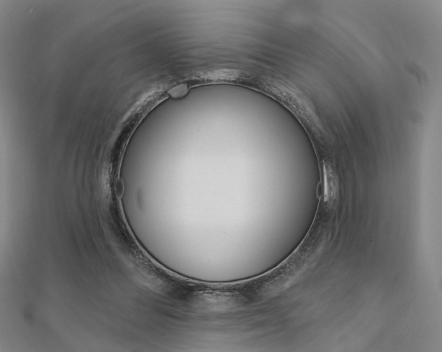 X0000112160300200908070944
