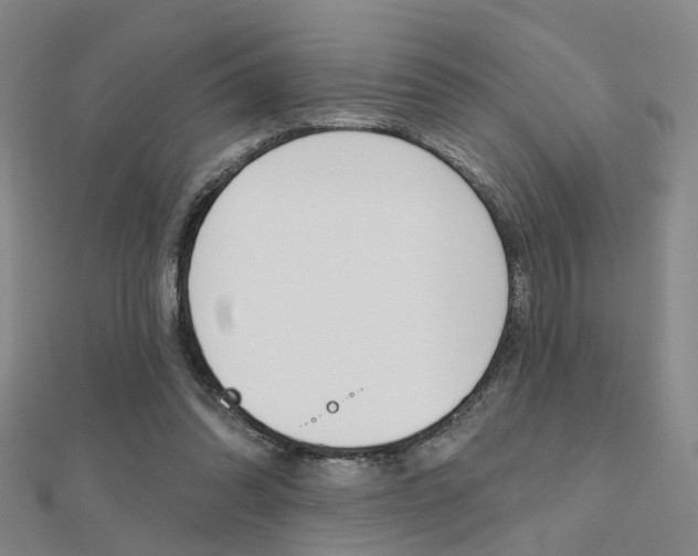 X0000112160302200908070944
