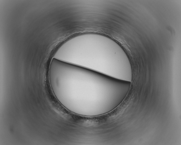 X0000112160303200908070944