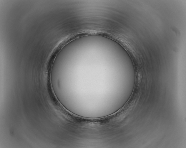 X0000112160304200908070944