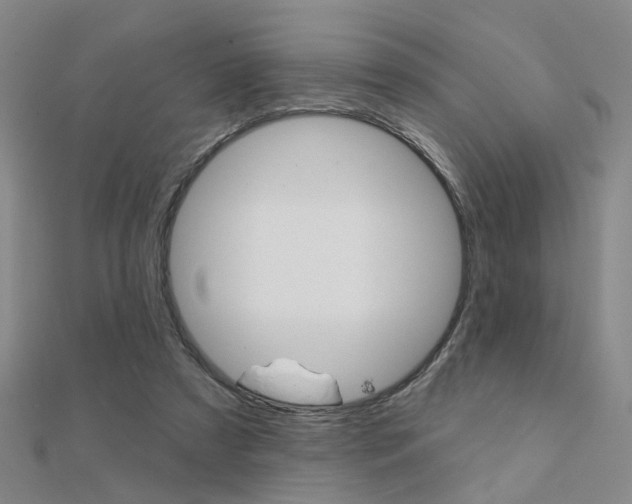 X0000112160305200908070944