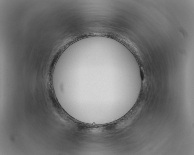 X0000112160306200908070944