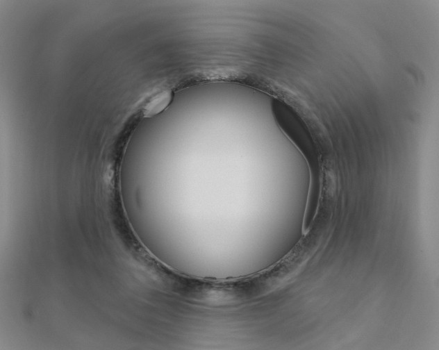 X0000112160308200908070944