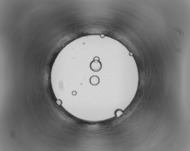 X0000112160309200908070944