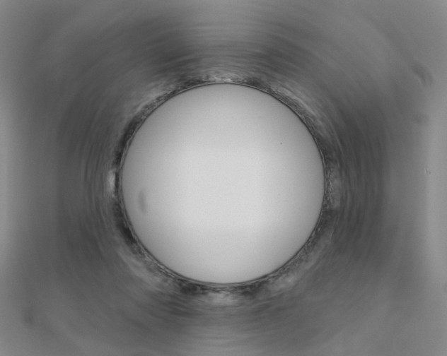 X0000112160310200908070944