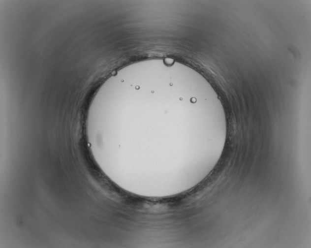 X0000112160311200908070944