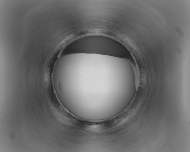 X0000112160312200908070944