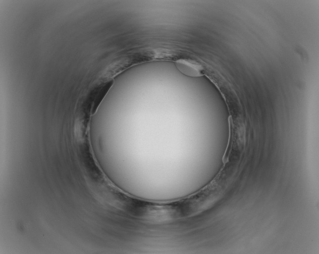 X0000112160316200908070944
