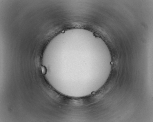 X0000112160317200908070944