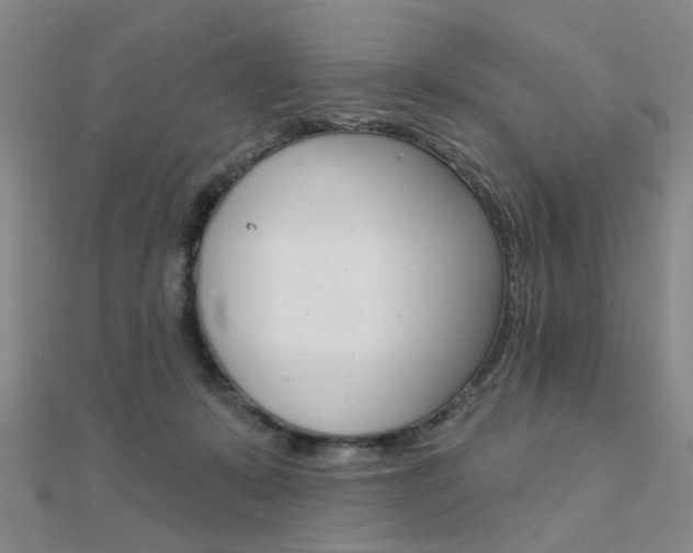 X0000112160319200908070944
