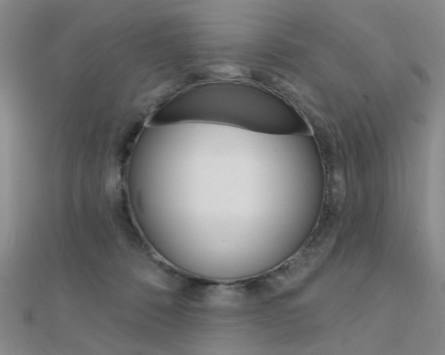 X0000112160320200908070944