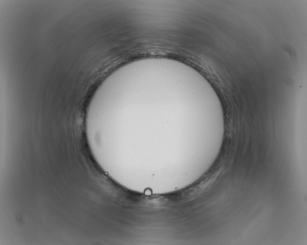 X0000112160321200908070944
