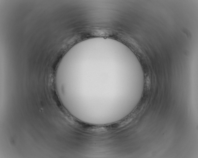 X0000112160322200908070944