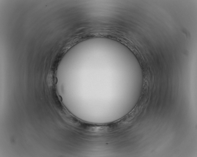 X0000112160323200908070944