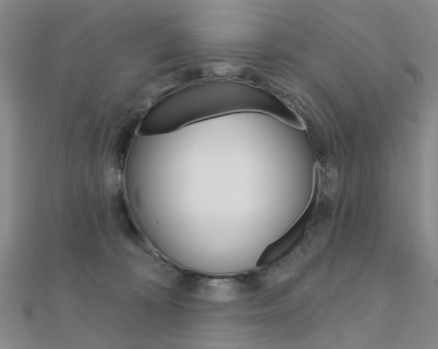 X0000112160324200908070944